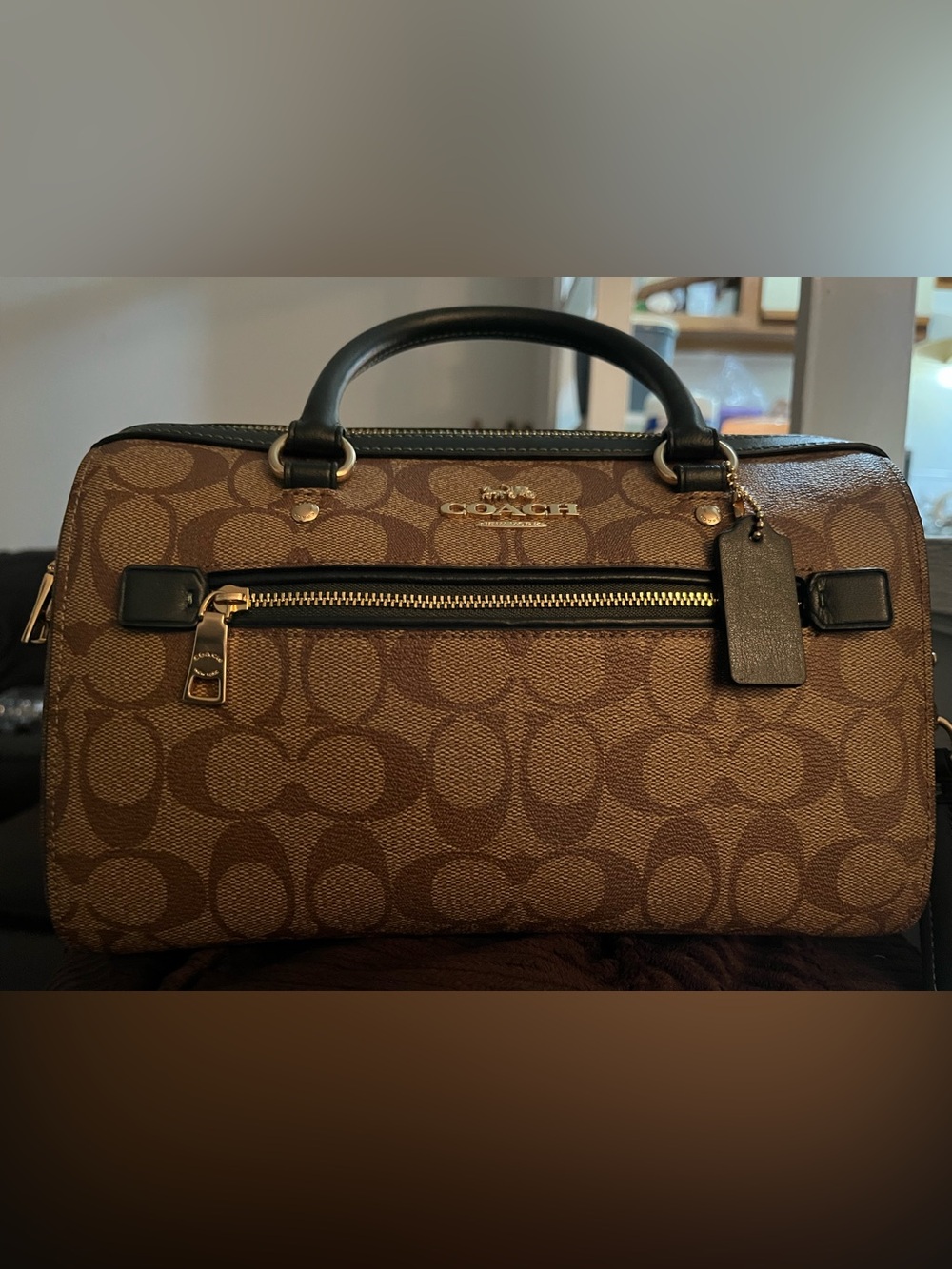 Coach Rowan Signature Canvas Satchel with Green Trim